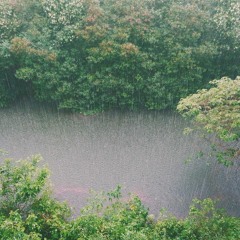 Heavy Rainfall, Colombia, 1988