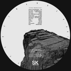 [SK005D] VA - Secret Wander 001