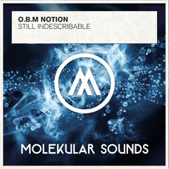 O.B.M Notion - Still Indescribable (Original Mix)