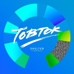 Tobtok - Shelter ft. Alex Mills (Sam Padrul Remix)