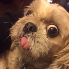 DJ Wills - Because (Original)