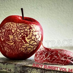 Trace - Juicy Sunset Vol. 24