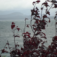 El Reloj De Péndulo / The pendulum clock