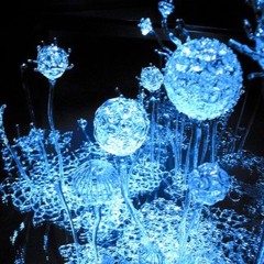 Demetria Vs Animateck - Secret Door (Early Demo)