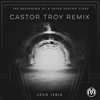 Sean Jeria - Thank You World (Castor Troy Remix) artwork