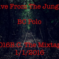 BC POLO - Live From The Jungle Remix (#2016B.C.)