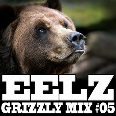 EELZ - GRIZZLY MIX 05 (Heavy Electro Mix)
