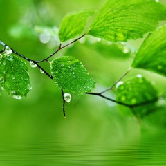 أرجى اية في كتاب الله الشيخ منصور السالمي