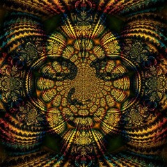 s2t