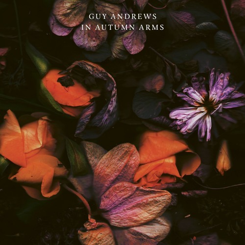 Guy Andrews - In Autumn Arms