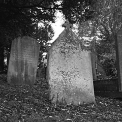 Return of the Pilla Boyz (Rough Copy)