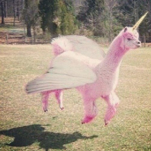 partyhard