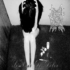 Beyond of Desolation - Sombras De Dolor