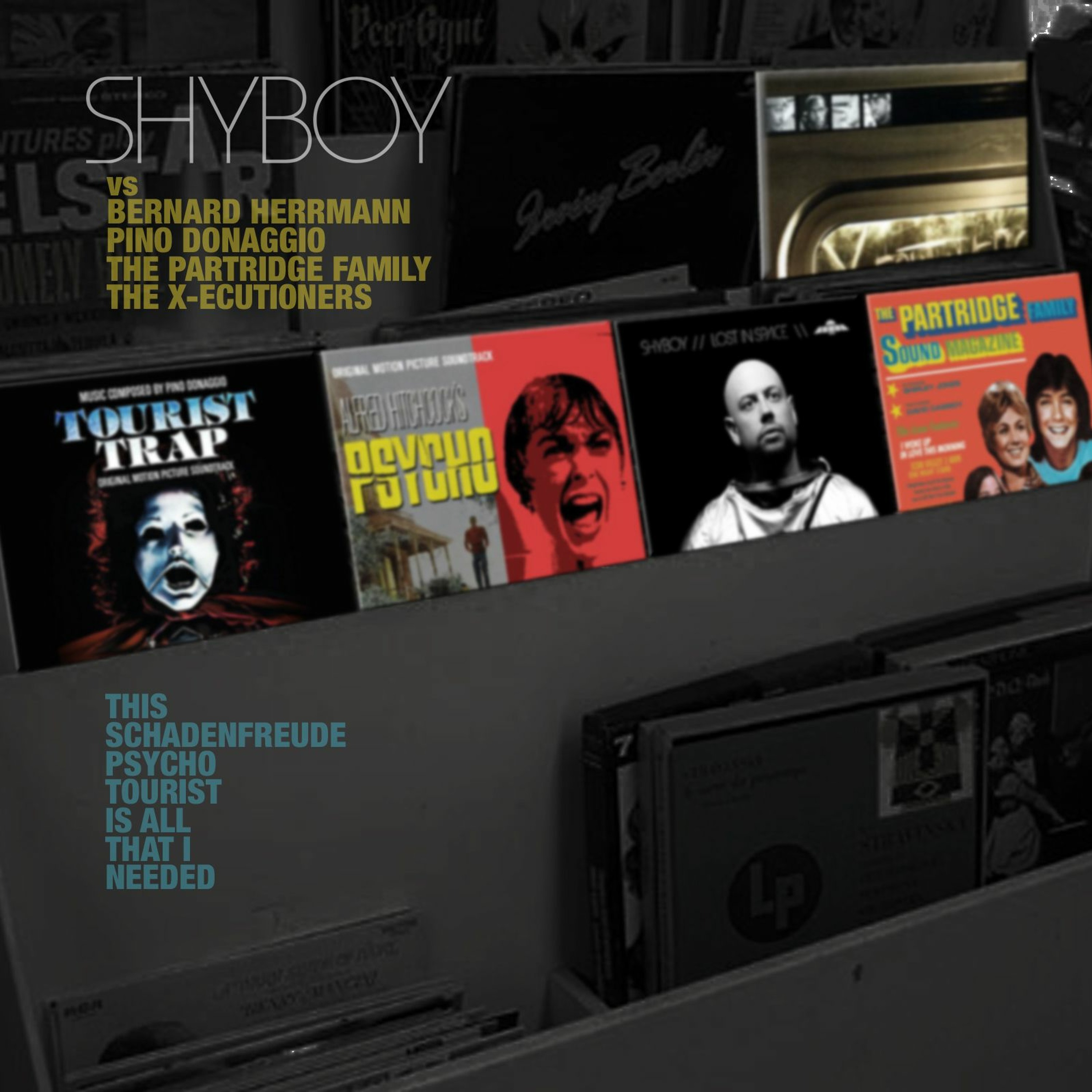 ShyBoy