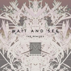 Wait and See (The Remixes)