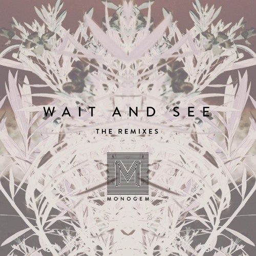 Wait and See (The Remixes)