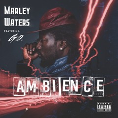 Ambience (produced By Honorable Court)