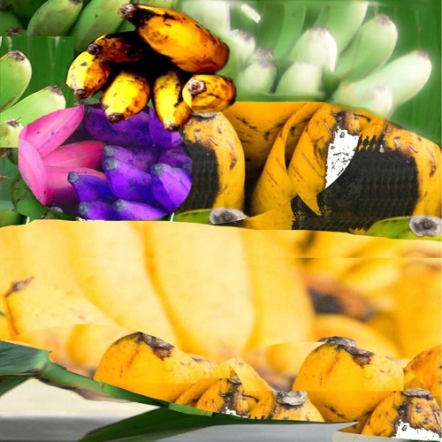 swarvy- chee