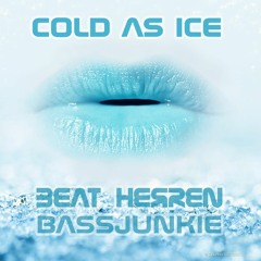 << FREE DOWNLOAD! >>  Beat Herren and Bassjunkie - Cold As Ice