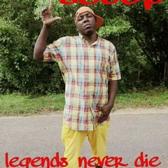 Scoop- what you think