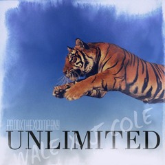 *NEW Unlimited - Wale Feat. J. Cole  TYPE* FREE D/L!