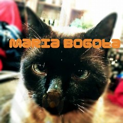 Maria Bogota (Pax Production)
