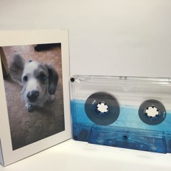 夕方の犬 (Dog in the Evening) - Debussssy