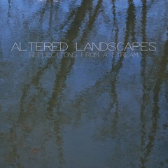 Altered Landscapes - Into The Void