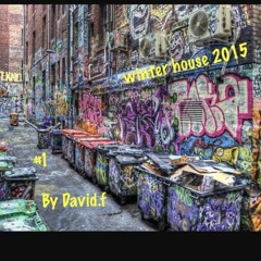 Winter House 2015 #1 By David.f