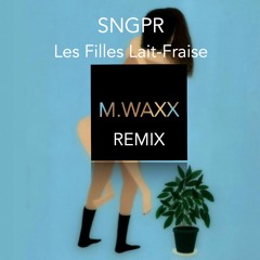 SNGPR "Les Filles Lait - Fraise" (M.WAXX Remix TEST)