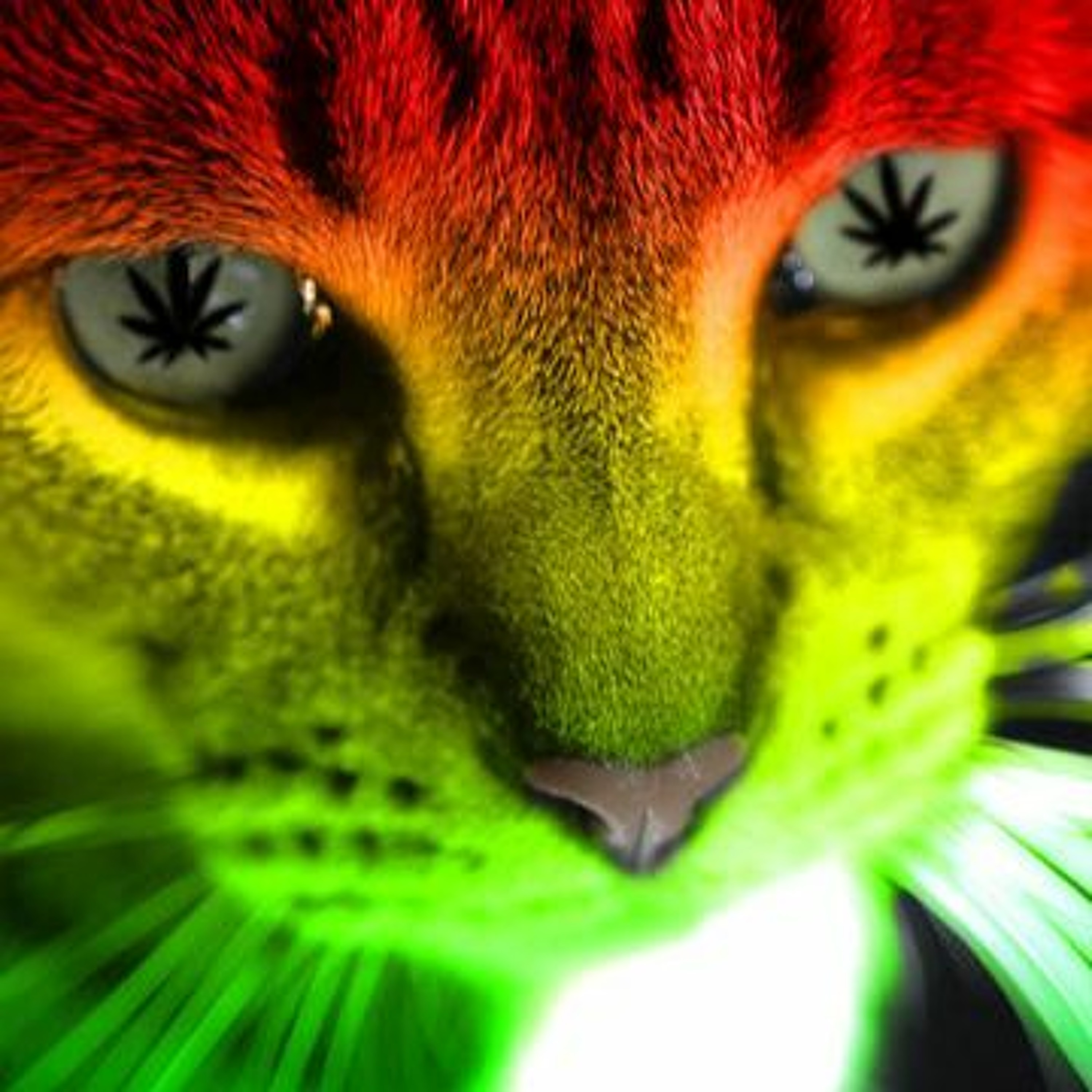 Malaney Blaze