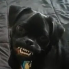 You shouldn't listen to these songs ever.