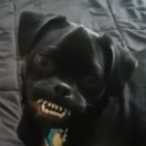 You shouldn't listen to these songs ever.