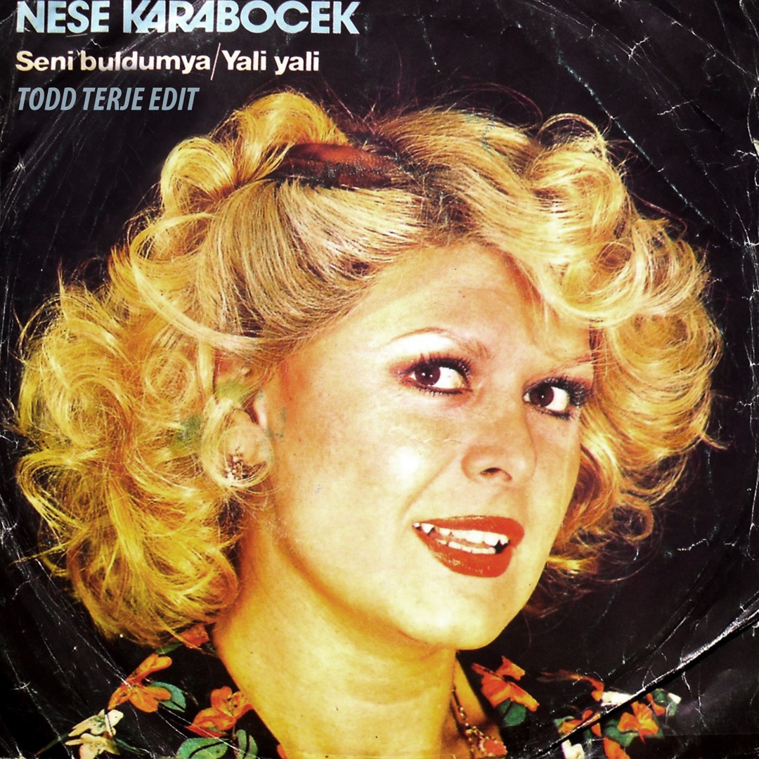 Stream Neşe Karaböcek - Yali Yali (Todd Terje Edit) by Gouranga