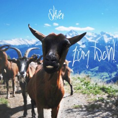 Sliver - Summa Summarum