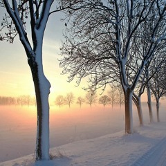 Morning Snow