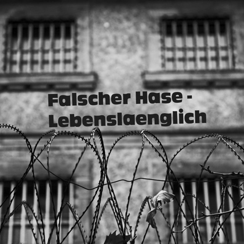 Thumbnail Falscher Hase Lebensl Auml Nglich Dezember 2011