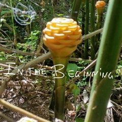 In The Beginning