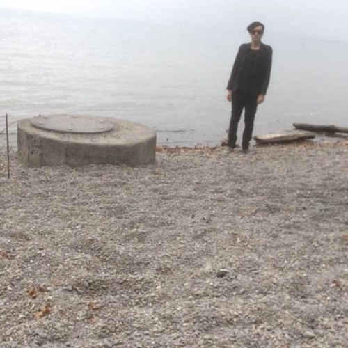 the harbour single snippet