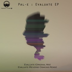 Pal-E - Evaluate (Original Mix)