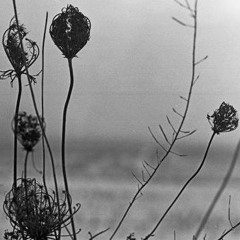 Recondite - Sequenze