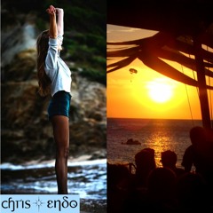 Chris Endo - Hands Up Sun Down Vol 2