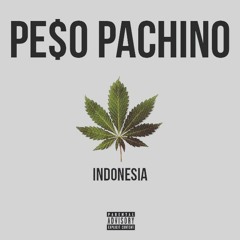 Peso Pachino- Indonesia
