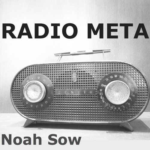 Noah Sow: RADIO META (Teaser)