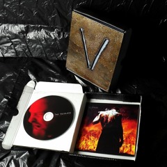 The Voidloss - Every Scar is a Victory - Album Promo