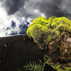 Trajets et itinéraires de l'oubli