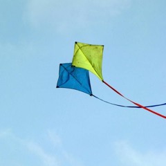 Let's Go Fly A Kite