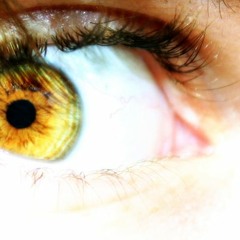 The Root Cause Of Fear