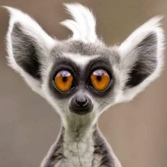 # 3 - Paul D'Sean og Professor Hirshals Bodilsen (Sæson 1)