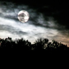 Scarborough Fair ( Simon & Garfunkel Cover )